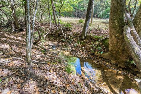 217 Goldmine Road Morganton GA 30560