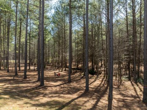 735 Deyton Drive Blairsville GA 30512