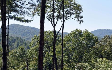 159 Native Trail Blue Ridge GA 30513