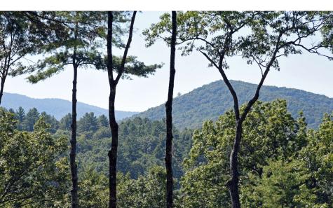 159 Native Trail Blue Ridge GA 30513