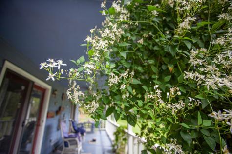 71 Laurel Brook Drive Murphy NC 28906