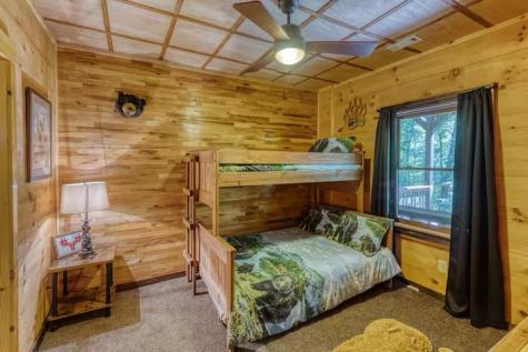 30 Trinity Hills Lane Mineral Bluff GA 30559