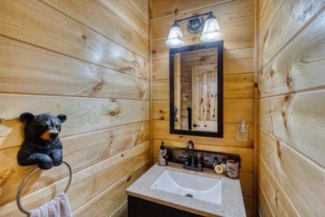 30 Trinity Hills Lane Mineral Bluff GA 30559