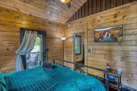 30 Trinity Hills Lane Mineral Bluff GA 30559