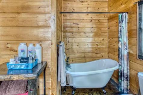 30 Trinity Hills Lane Mineral Bluff GA 30559