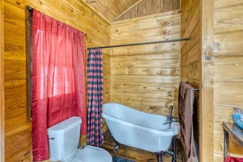 30 Trinity Hills Lane Mineral Bluff GA 30559