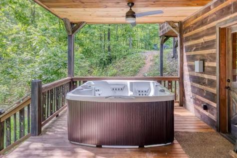 30 Trinity Hills Lane Mineral Bluff GA 30559