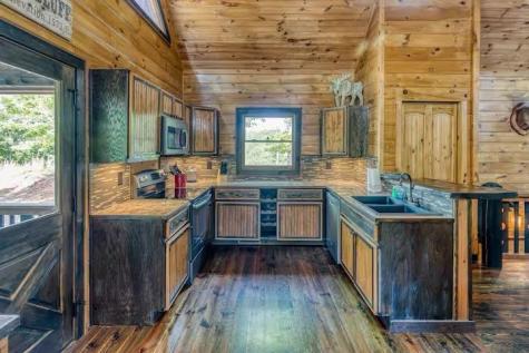 30 Trinity Hills Lane Mineral Bluff GA 30559