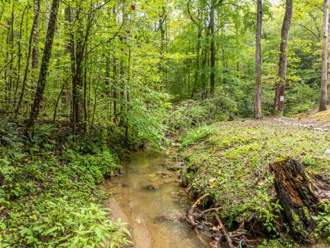 850 Valley Drive Ellijay GA 30536
