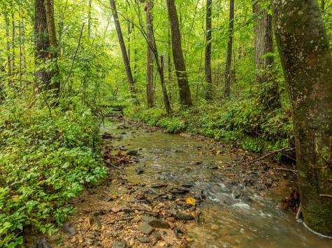 850 Valley Drive Ellijay GA 30536