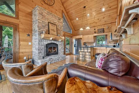 96 Hidden Lake Lane Cherry Log GA 30522