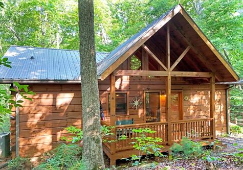 260 Jason Martin Circle Blue Ridge GA 30513