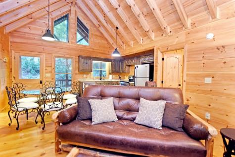 260 Jason Martin Circle Blue Ridge GA 30513