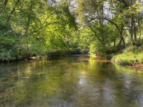 93 Trails End Epworth GA 30541