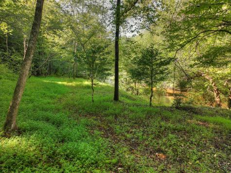 93 Trails End Epworth GA 30541