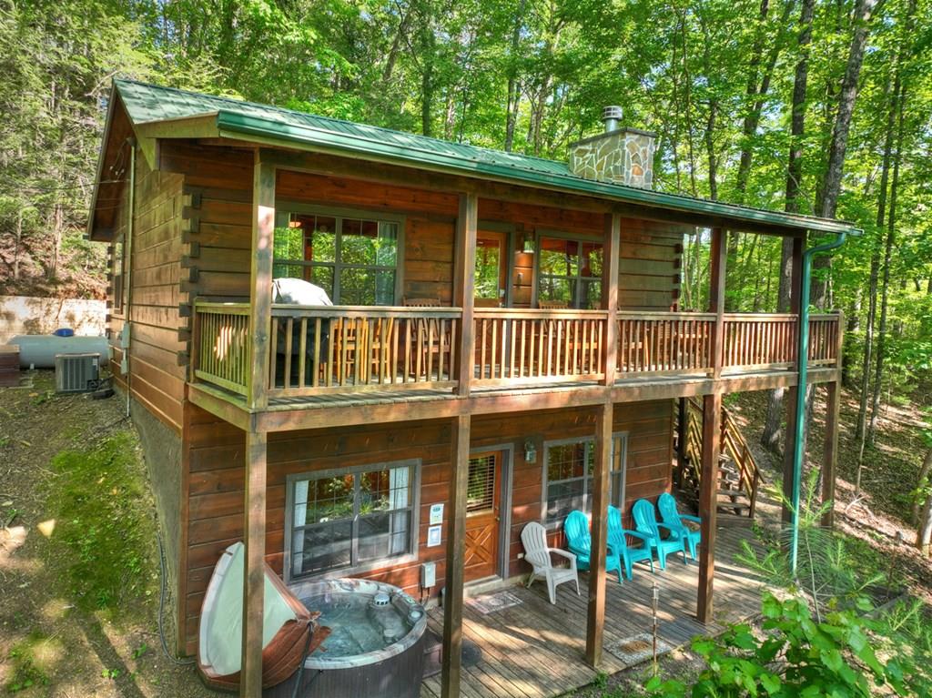 423 Laurel Creek Road Blue Ridge GA 30513