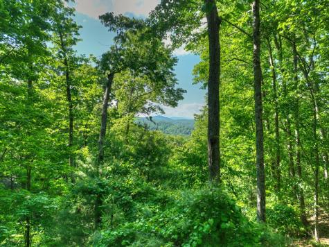 423 Laurel Creek Road Blue Ridge GA 30513