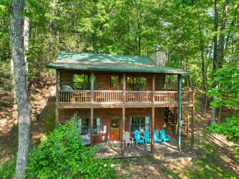 423 Laurel Creek Road Blue Ridge GA 30513