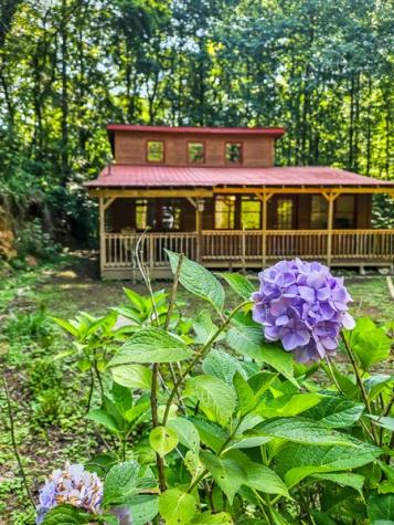 65 Mount Pleasant Drive Ellijay GA 30540