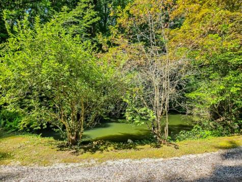 65 Mount Pleasant Drive Ellijay GA 30540