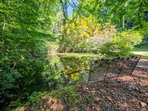 65 Mount Pleasant Drive Ellijay GA 30540