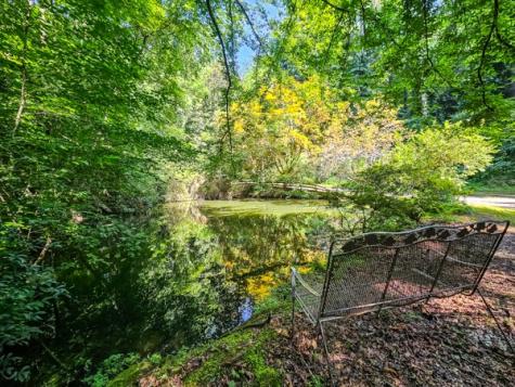 65 Mount Pleasant Drive Ellijay GA 30540