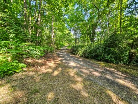 65 Mount Pleasant Drive Ellijay GA 30540