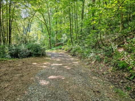 65 Mount Pleasant Drive Ellijay GA 30540