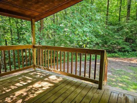 65 Mount Pleasant Drive Ellijay GA 30540