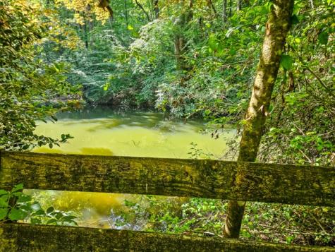 65 Mount Pleasant Drive Ellijay GA 30540