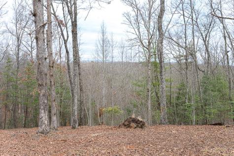 305 Antler Lane Murphy NC 28906