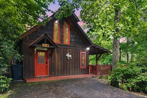 20 Mint Lane Murphy NC 20906