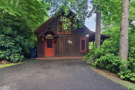 20 Mint Lane Murphy NC 20906