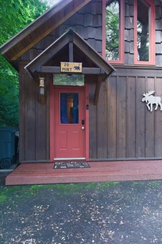 20 Mint Lane Murphy NC 20906