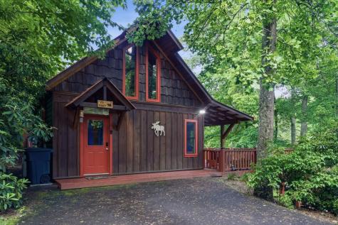 20 Mint Lane Murphy NC 20906