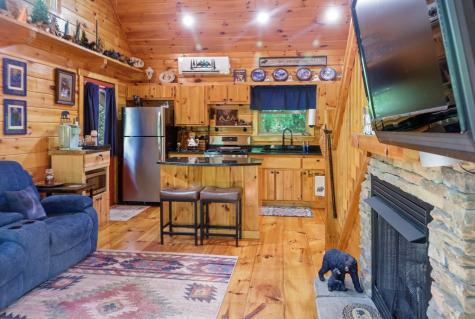 20 Mint Lane Murphy NC 20906