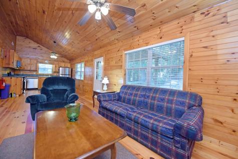 175 Bell Road Mineral Bluff GA 30559