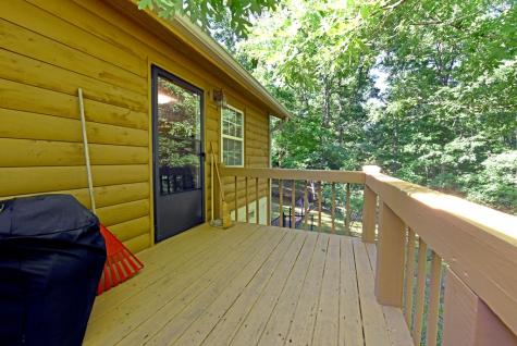 175 Bell Road Mineral Bluff GA 30559