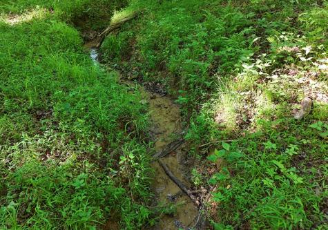 175 Bell Road Mineral Bluff GA 30559