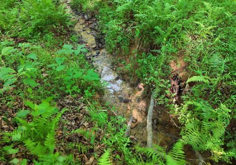 175 Bell Road Mineral Bluff GA 30559
