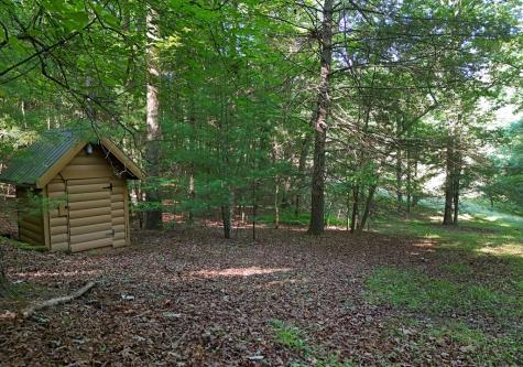 175 Bell Road Mineral Bluff GA 30559