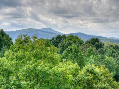 214 Ethan Wilson Way Morganton GA 30560