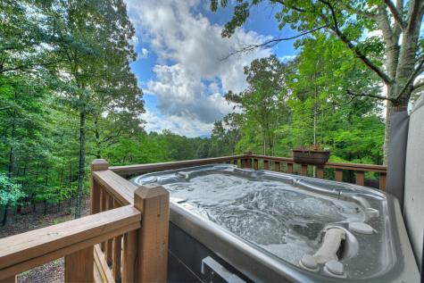 214 Ethan Wilson Way Morganton GA 30560