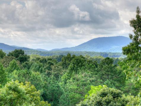 214 Ethan Wilson Way Morganton GA 30560