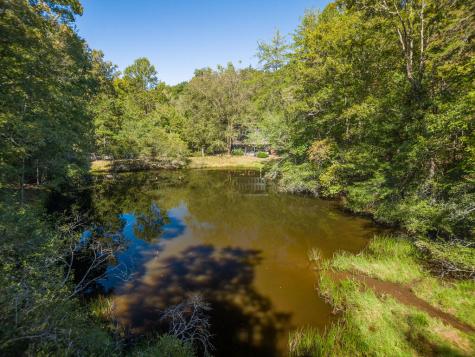 427 Cross Creek Mineral Bluff GA 30559