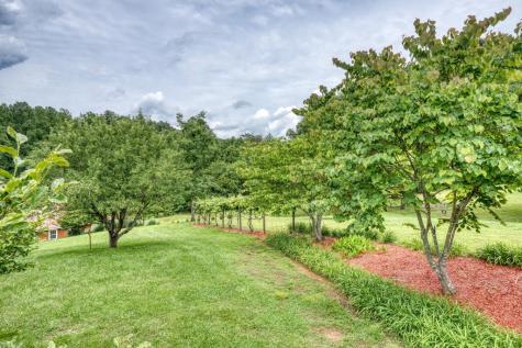 573 Shuler Road Blairsville GA 30512