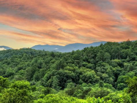 160 Mountain Field Drive Suches GA 30572