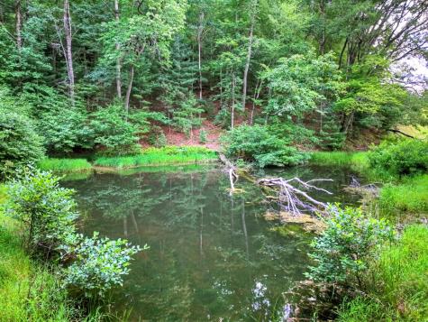 160 Mountain Field Drive Suches GA 30572