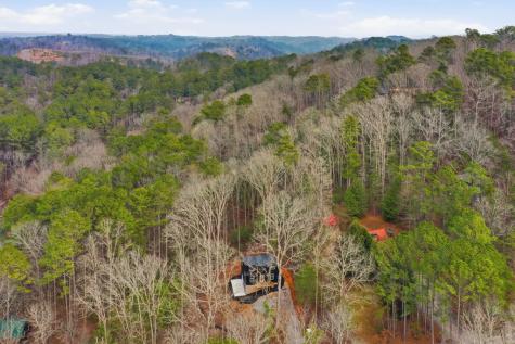 890 Joliet Drive Ellijay GA 30540