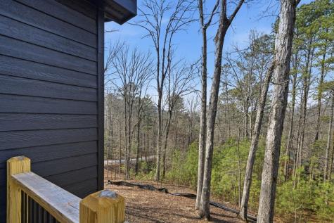 890 Joliet Drive Ellijay GA 30540